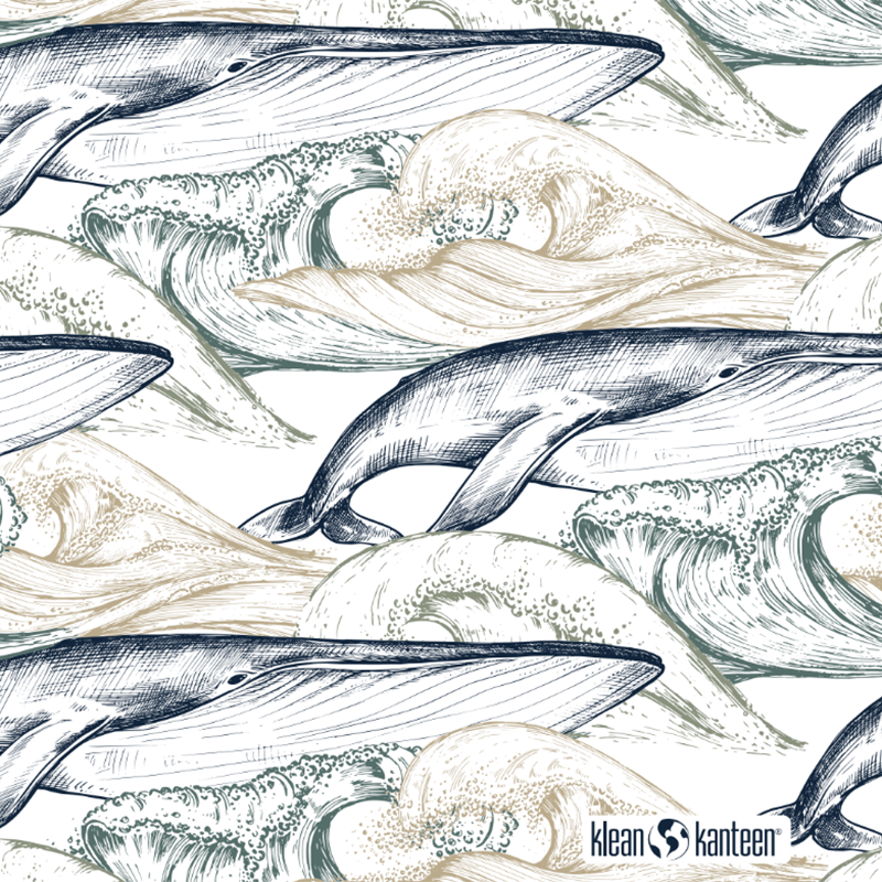 20oz-tkwide-with-twist-cap-ocean-day-u7 20oz_tkwide_bottle_seasonal_ocean_day_whale_artwork_square.png