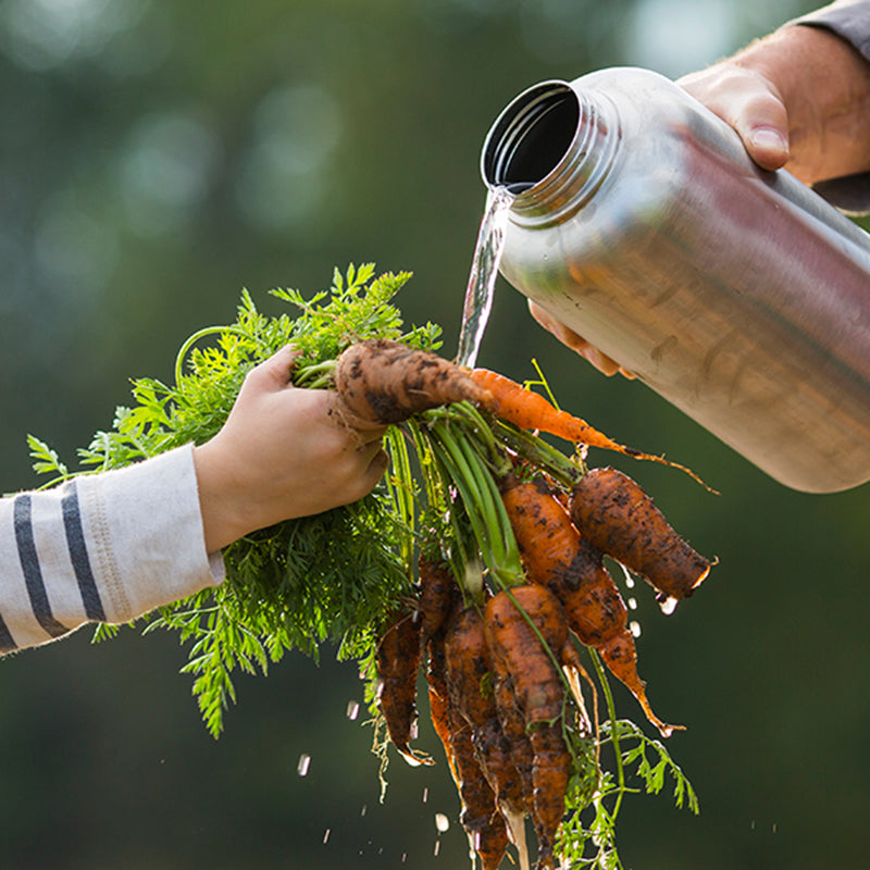 64oz-wide-with-loop-cap-f4 64oz_wide_mouth_bottle_carrots_rinse_square.jpg